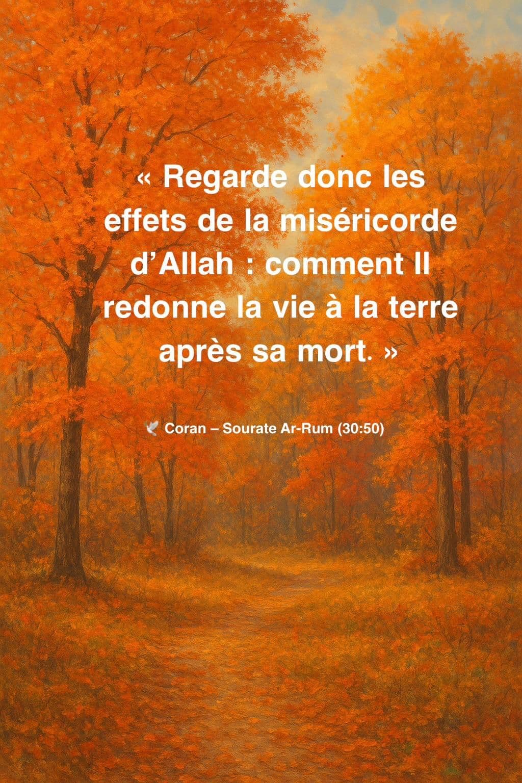 Paysage verdoyant illustrant le verset sur la terre rendue à la vie par la miséricorde d’Allah.